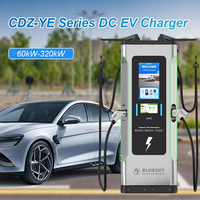 Nouvelle station de charge DC multifonctionnelle BLUESKY CDZ-YE 60 kW, compatible avec les bornes de recharge rapides commerciales CCS2/GB/T, en vente flash
