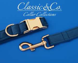 Collier et laisse pour chien en métal gravé personnalisé avec le nom de l'animal, bleu royal, avec cloche et nœud, livraison gratuite - Product Image 4