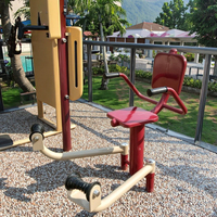 XIDEAO - Equipo de Gimnasio Multifuncional para Exteriores de Acero Inoxidable Resistente, para Adultos y Personas Mayores, Certificado por la CE, Garantía de 5 Años, Portátil