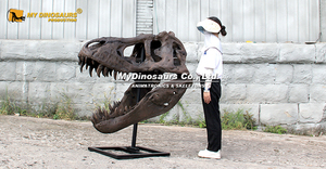 Crâne de Tyrannosaurus Rex réaliste fait main pour l'exposition du Musée d'histoire <span class=keywords><strong>naturelle</strong></span> My Dino - Product Image 5