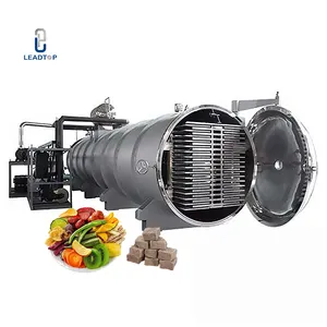 Large Industry Freeze Dryer Drying Vegetable And Fruit Lyophilizer Equipment