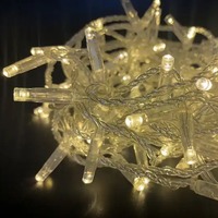 Guirlande lumineuse LED couleur avec coque bulle IP68 et corps en PVC, AC220V, CRI 90, étanche pour extérieur, garantie de deux ans pour utilisation paysagère