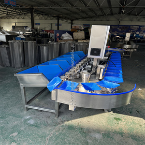 Machine de tri de poissons, de pattes de poulet et de crevettes, 230 pièces/min, vente directe usine, en promotion - Product Image 4