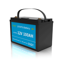 UE Portugal Baterias De Litio 12v 24 Volt 100ah Solaire Lifepo4 Energi Stockage Li ion Batterie Lithium Fer Phosphate Batterie