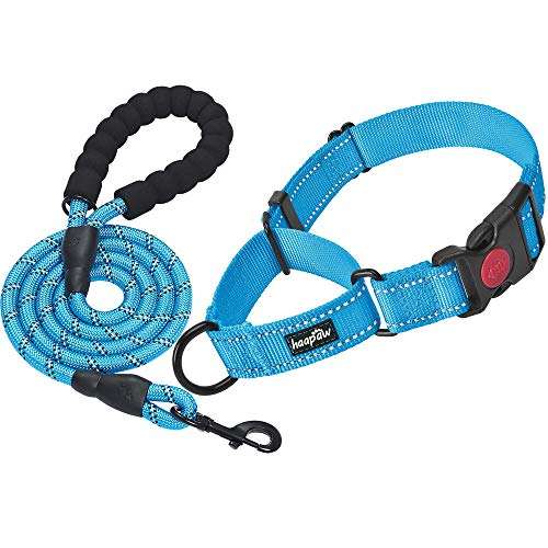 Blue, Martingale Collar+Leash