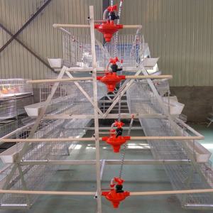 Équipement d'élevage pour poulaillers : <span class=keywords><strong>Mangeoire</strong></span> à poulets, Cage à batterie de type A, Cages pour coqs et poules pondeuses, Capacité 2000-5000 <span class=keywords><strong>oiseaux</strong></span> - Product Image 6