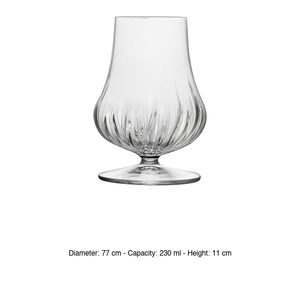 Vaso para Bebidas Espirituosas Mixología 23 cl H 11 cm Ø 7.7 cm Luigi Bormioli - Product Image 3