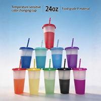 Gobelet en plastique translucide réutilisable et écologique de 24 oz avec couvercle et paille pour boissons froides et jus