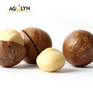 Hạt Macadamia rang hạt Macadamia - Product Image 5