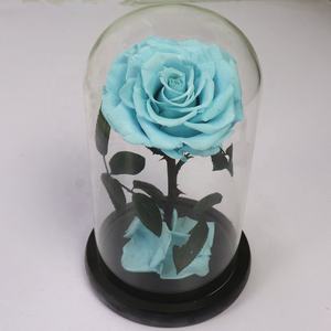 Vente flash eBay, prix bas, roses rouges et roses éternelles, mini petit prince, <span class=keywords><strong>rose</strong></span> préservée dans un dôme en verre - Product Image 2