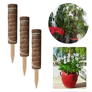 Phân Hủy Sinh Học 12Inch Chậu Cây Hỗ Trợ Sticks Set Đứng Trong Nhà Coco Coir Moss Totem Cực Monstera