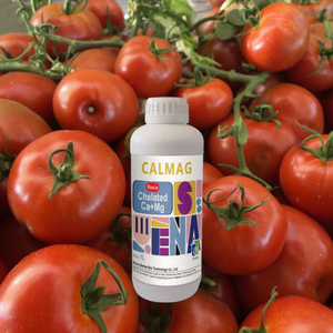 <span class=keywords><strong>Fertilizante</strong></span> Líquido Orgánico Especial de Calcio y Magnesio para Tomates, Repone Rápidamente el Calcio, Previene el Agrietamiento de los Frutos, Aumenta la Cosecha - Product Image 2
