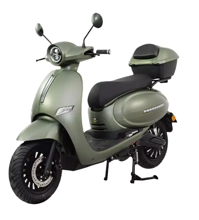 Citycoco scooter elettrico europe EEC adulto 2000W Max Chopper motore batteria pieghevole due ruote scooter elettrico