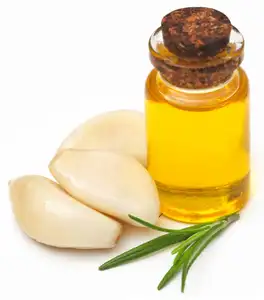 Manufacturers Supply Organic Garlic Oil Food Grade 100% natural herbal extract oil tightens essential oil in bulk