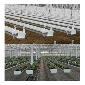 Systèmes <span class=keywords><strong>de</strong></span> culture <span class=keywords><strong>de</strong></span> fraise/laitue/fleur/herbe dans l'agriculture <span class=keywords><strong>de</strong></span> ferme hydroponique <span class=keywords><strong>de</strong></span> serre - Product Image 1