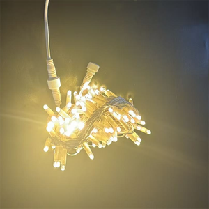 PVC Waterproof LED String <strong>Lights</strong> for Safe and Beautiful Outdoor Decorative Lighting That <strong>Lasts</strong> - Product Image 2