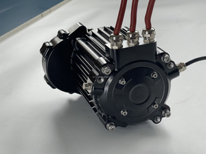 84V 18KW 102N.M 10000RPM 기어 모터 (고카트, 크로스 카트, 보트, ATV, UTV, 골프 카, 이모토 드 바투, 전기 포드, 전기 추진 장치용) - Product Image 5