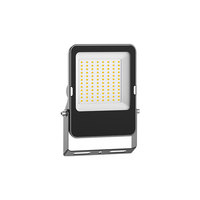 Projecteur LED d'éclairage sportif avec CCT et mode d'alimentation double sélectionnable