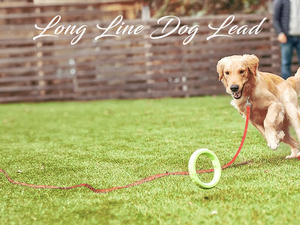 Laisse réfléchissante légère et solide pour le suivi de la formation des animaux de compagnie, longue ligne, laisse de <span class=keywords><strong>chien</strong></span> de 10m pour grand moyen et petit chiot. - Product Image 6