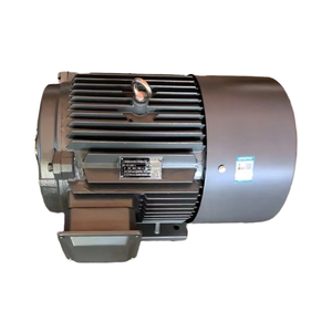 มอเตอร์สามเฟสแบบอะซิงโครนัส YE2 YE4 Y2 Y YE3-315S-6-75KW6 โพล 6 ขั้ว - Product Image 3
