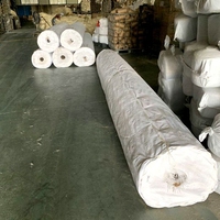 Rouleau de moquette murale en sisal à fibres naturelles
