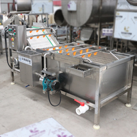 Groente- en fruitwasmachine Industrieel Commercieel 304 roestvrijstalen motor 500 kg/uur capaciteit Maïsverwerkingsapparatuur