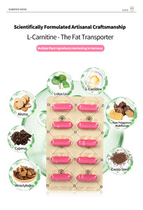 Venta caliente L-Carnitine Capsules Healthcare Private Label Fat Burner Suplementos para adultos Pérdida de peso y adelgazamiento - Product Image 4
