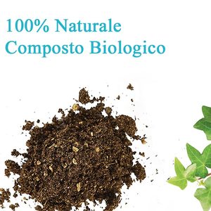 Terriccio per Piante Grasse 5L Qualità Superiore Con Osmocote - Product Image 4