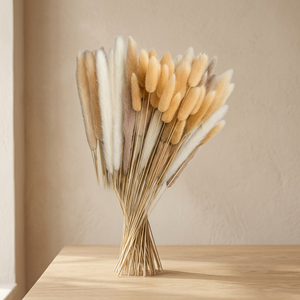 High Quality Preserved Dried Bunny Tail Natural Dyed Fluffy Long Lasting Wedding Home Party Decor Mother's Day Christmas - Product Image 2