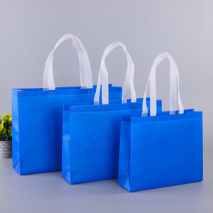 Sac en tissu non tissé personnalisé avec logo, sac de shopping en PP, prix fabricant pas cher - Product Image 5