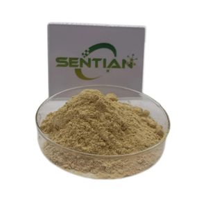 Venta caliente Pure Natural Purple Echinacea Flower Extract Powder 4% Health Polifenoles Purpurea - Product Image 2