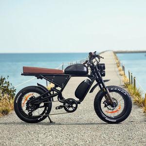 Vélo <span class=keywords><strong>électrique</strong></span> de style cyclomoteur à deux places de haute qualité, longue portée, 52v 1200w 2000w - Product Image 2