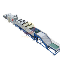 Automatische trommeltype ronde fruit sorteermachine voor sinaasappels, citrusvruchten, tomaten en appels.