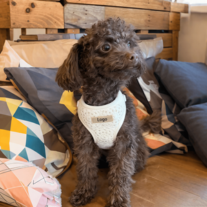 Harness anjing besar dan kecil, Harness anjing dapat disesuaikan, grosir nyaman, kokoh, Harness hewan peliharaan kustom, Pechero Para Perros - Product Image 6