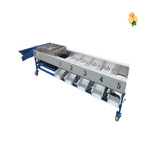 <b>Chestnut</b> Dates Tomato Sorting Machine Potato Onion Tomato Grading Machine Fruit and Vegetables Sorting Machine in India - Product Image 6