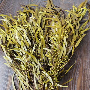 Hojas de Eucalipto y Sauce con Semillas Conservadas para Decoración de Interiores en el Hogar y la Oficina; Plantas Decorativas de Hoja de Mijo para Fiestas - Product Image 5