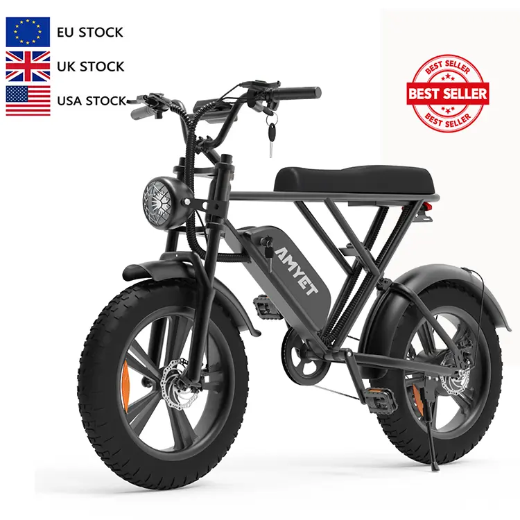 Qualidade superior Elétrica Mountain Bike 1000w ebike com 20 polegadas Fat pneu e bicicleta bicicleta elettrica