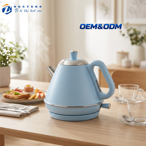 Light Blue Stainless Steel Electric <b>Kettle</b> 1.0L with Ergonomic Side Handle and Removable Water Filter - Product Image 1