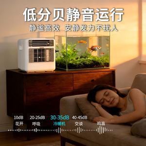 Mini Water Chiller For Fish Tanks Small Household Fast Cooling Constant Temperature Fresh And Saltwater Use - Product Image 3