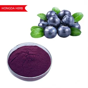 Extrato de fruta de bilberry preço de fábrica, pó 25% anocyanin, extrato de bilberry