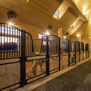 اسطبلات الحصان مع منزل وشملت ، أبواب الحصان مستقرة للبيع/الباب الأمامي المنقولة ، مادة مخصصة - Product Image 1