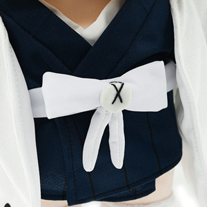 Muñeco de Peluche Personalizado de Anime, 20 cm, con Rostro Bordado, Niño de Taekwondo, de Algodón, con <span class=keywords><strong>Ropa</strong></span> Extraíble - Product Image 5