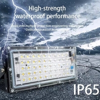 Super luminosité 100W 200W 50W AC 220V 110V étanche IP66 Cob puce projecteur lampe projecteur extérieur projecteur projecteurs
