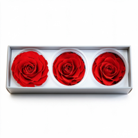 Roses rouges préservées, têtes de fleurs de 7-8 cm, rose éternelle, cadeau de la Saint-Valentin pour petite amie, décoration de la maison, vente en gros