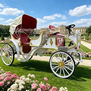 Buggy Romántico Europeo de Turismo con Interior Rojo para Fotografía de Bodas al Aire Libre y Eventos - Product Image 5
