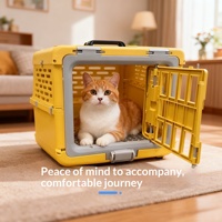 Nouvelle cage de transport pour animaux de compagnie en PP rigide, pliable, réglable et légère, capacité de 10 kg, boîte de transport portable pour chats
