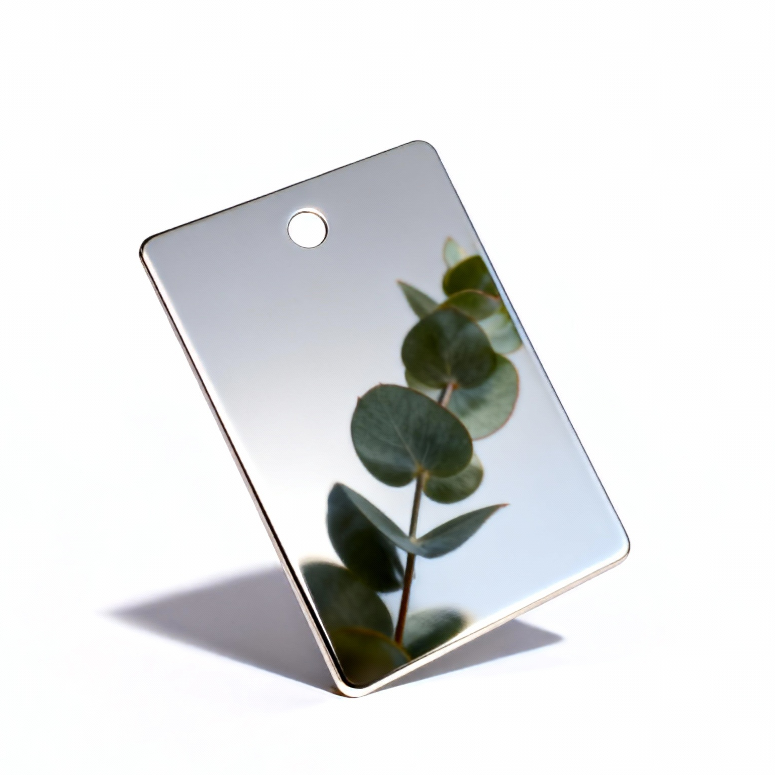 Polished Stainless Steel