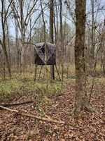 Tour de chasse trépied de 6 pieds, support surélevé pour 2 personnes, plate-forme de 4 'x 4' pour la chasse au cerf, à l'antilope et au wapiti, camouflage