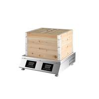 Cuiseur vapeur commercial horizontal automatique en acier inoxydable, taille intérieure 50*40, 2 trous, anti-séchage, pour Baozi