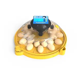 mini Chicken Egg Incubator Hatching machine 12 Eggs capacity Hatcher Machine for sale